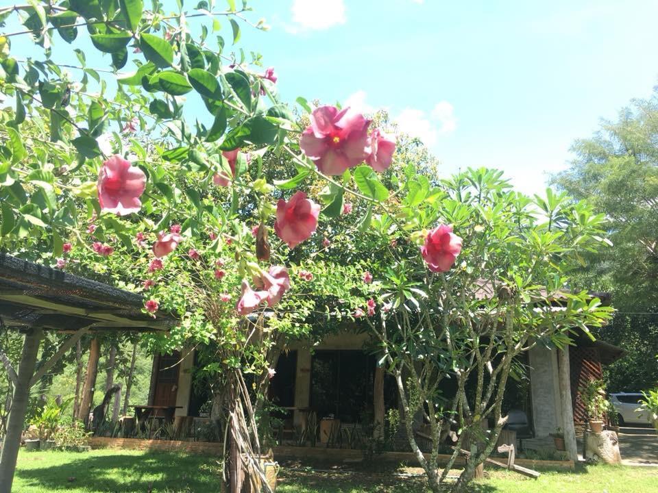 Plearn Resort Kanchanaburi Buitenkant foto